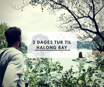 2 dages tur til Halong Bay