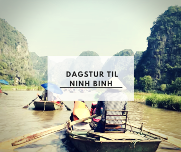 Dagstur til Ninh Binh