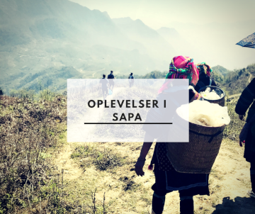 Oplevelser i Sapa