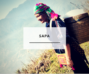 Sapa